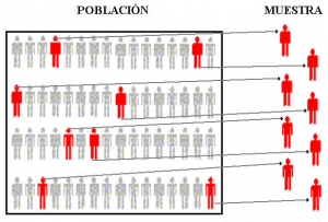 Neetwork - ¿Cómo hacer una gráfica?