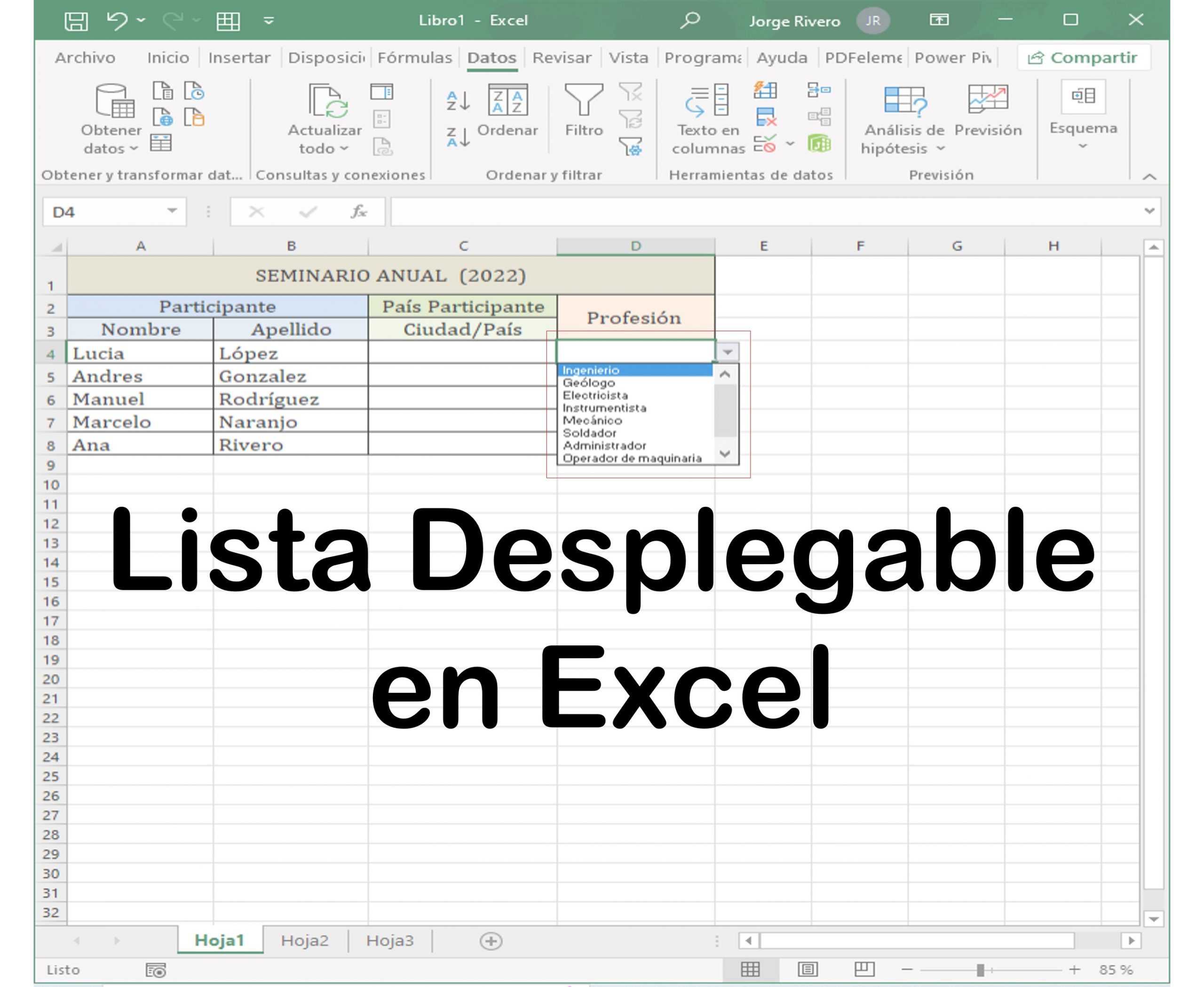 ¿cómo Crear Una Lista De Opciones En Excel Neetwork Escuela De Negocios Digitalesemk 1459