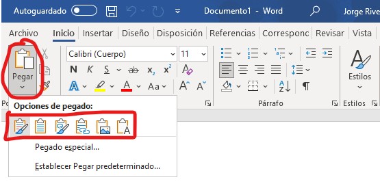 convertir Excel a Word